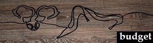 budget logo